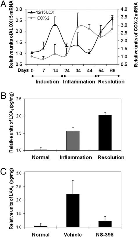 Loss Of Lxa Production With Ns Treatment A Shows The Kinetics