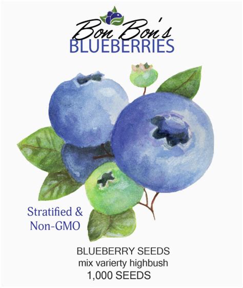 Northern Blueberry Seeds 1000 ct $15.00