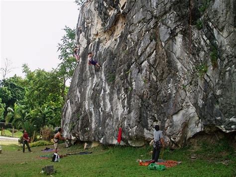 Taman Etnobotani Gua Musang