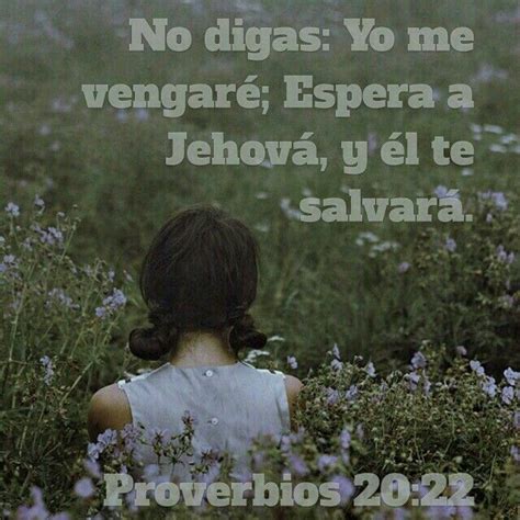 No digas yo me vengaré espera a Jehová y Él te salvará Proverbios 20