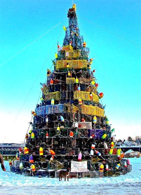 Worlds Largest Lobster Trap Christmas Tree World Record In Beals Maine