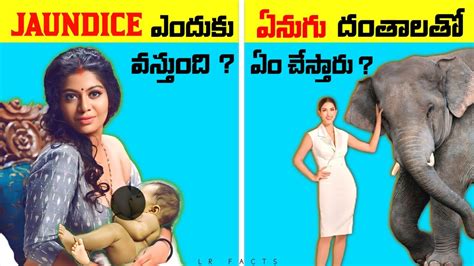 Top Interesting Facts In Telugu Unknown Amazing Facts Telugu