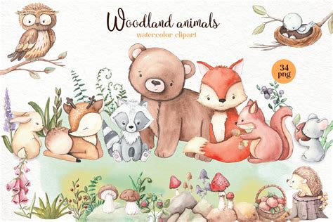 Woodland Cute Animals Clipart. Forest Graphic by ElenaZlataArt · Creative Fabrica