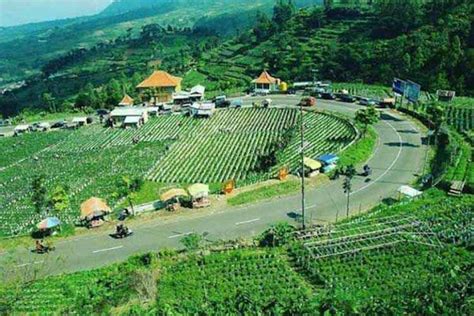 10 Tempat Wisata Di Magetan Untuk Anak Dan Keluarga Yang Murah Dan Lagi