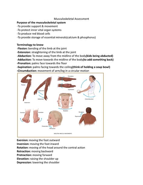 Musculoskeletal Assessment Musculoskeletal Assessment Purpose Of The