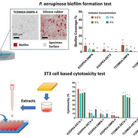 P Aeruginosa Biofilm Surface Coverage And 3t3 Mammalian Cell Based Download Scientific Diagram