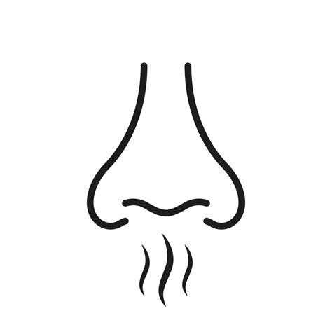 Nose Loss Sense Scent Smell Sign On White Background Nasal Odor Sniff