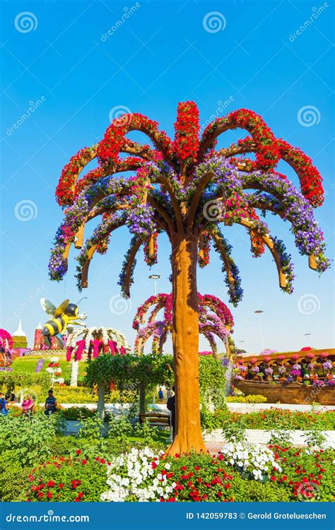 Dubai United Arab Emirates December 13 2018 Flower Trees In Dubai