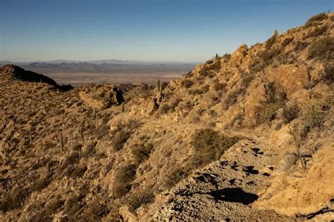 Saguaro National Park And Mt Lemmon Self Guided Audio Tour Tucson Hurb