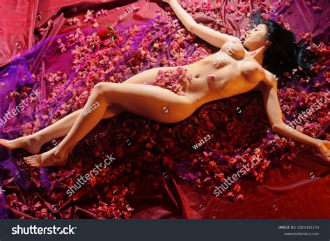 Beautiful Woman Lying Naked Posing Dried Stock Photo Shutterstock