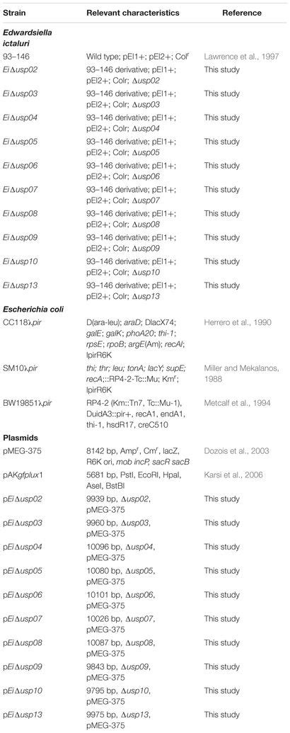 Frontiers Universal Stress Proteins Contribute Edwardsiella Ictaluri