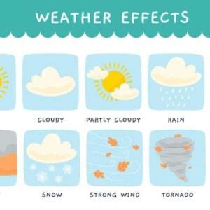 WEATHER Duchazos Juego Educativo Idiomas Mobbyt