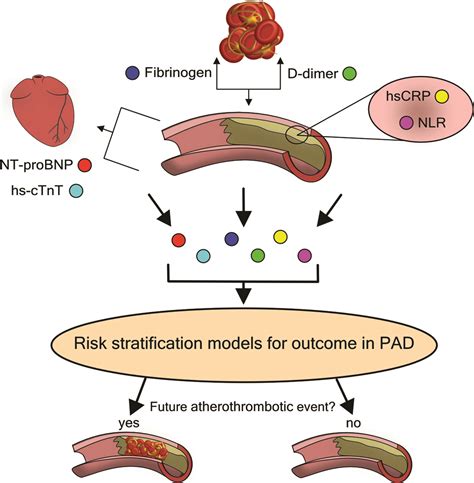 Plasma Biomarkers To Predict Cardiovascular Outcome In Patients With