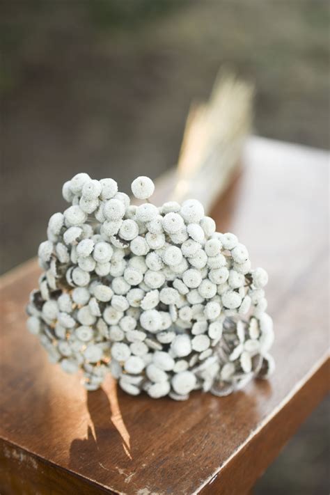 Dried White Button Flowers The Blaithin Blair Shop