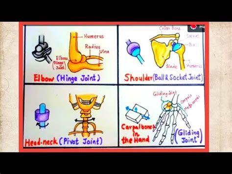 How To Draw Movable Joints Pivot Ball Socket Hinge Gliding Diagram