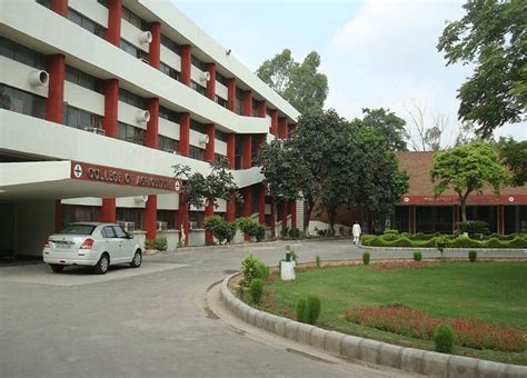 College Of Veterinary Sciences Hisar Images Photos Videos Gallery