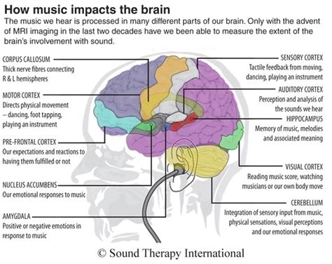 Iev White Paper C The Science Brain Optimisation Through Sound Therapy