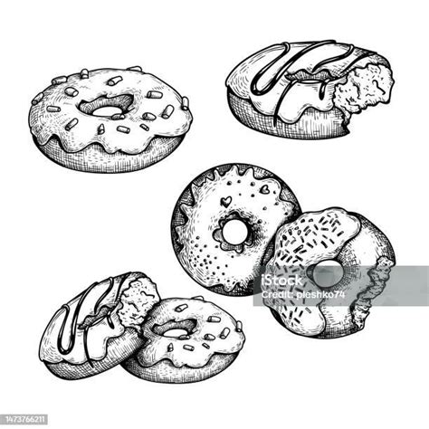 Hand Drawn Sketch Style Tasty Donuts Set Sweet Desserts Collection Best