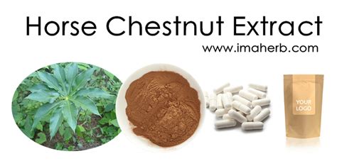 Horse Chestnut Extract