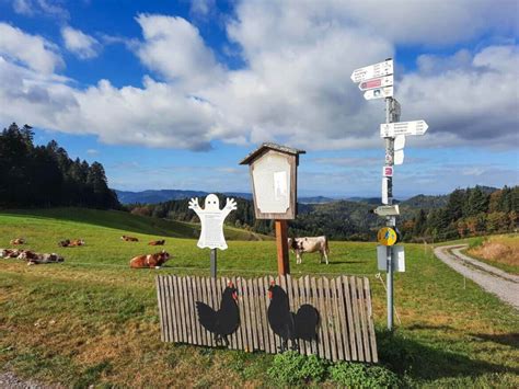 Schwarzwald Geheimtipp Nostalgischer Dorfurlaub Im Harmersbachtal