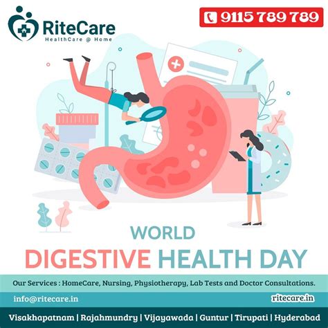 World Digestive Health Day 29 May 2023 Theme And Importance Artofit