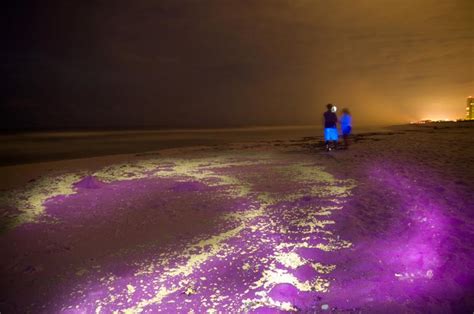 Glowing Beaches