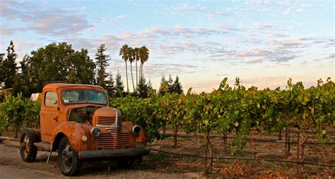 The Buyer | How Lodi is one of California’s premium wine regions