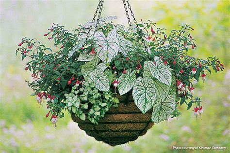 Hanging Basket Hacks Garden Gate