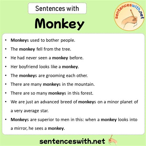 Sentences With Monkey Sentences About Monkey SentencesWith Net