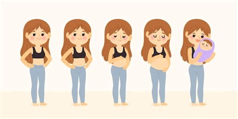 Free Vector | Pregnancy stages illustrated style