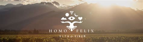 El ángel del vino Blog de vinos Homo Felix