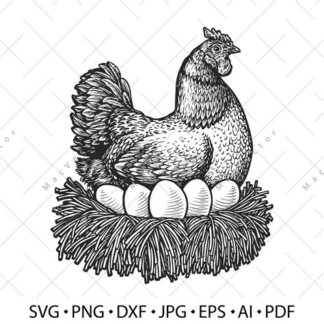 Farm Hen And Eggs Vector Laying Hen In Nest Svg Bird Chicken Vintage