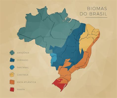 O que é bioma Significado quais são os biomas brasileiros