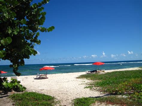 Plage Des Raisins Clairs à Saint François Guadeloupe