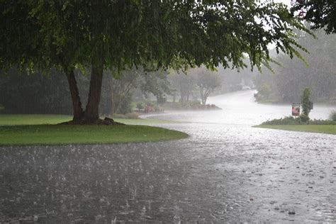 🔥 [50+] Beautiful Rain Wallpapers | WallpaperSafari