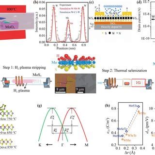 Substantial Doping Engineering Of D Tmds A Schematic Presentation