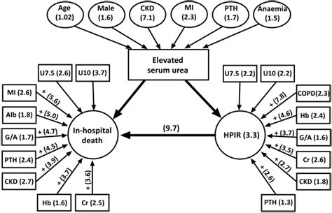 Prognostic Significance Of Serum Urea Concentration At Admission In