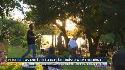 Passeio no Lavandário de Londrina traz sensações e experiência única