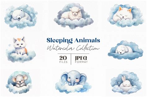 Sleeping Animals Watercolor Collection By Artsy Fartsy Thehungryjpeg