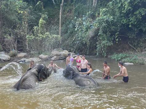 Chiang Mai Doi Inthanon And Elephant Sanctuary Tour Getyourguide