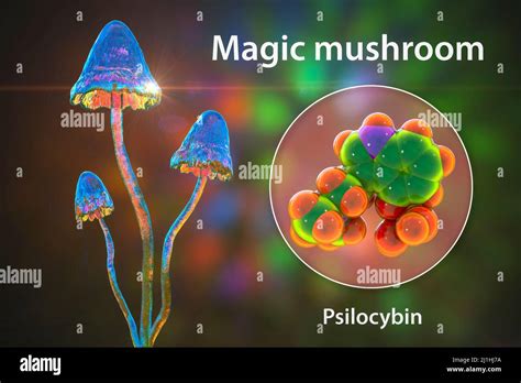 Magic Mushrooms And Psilocybin Molecule Illustration Stock Photo Alamy