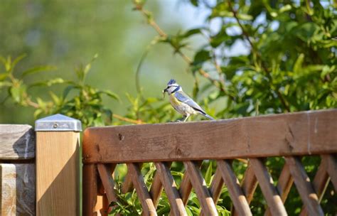 Le Guide Ultime Pour Choisir Le Bon Rev Tement Pour Votre Terrasse