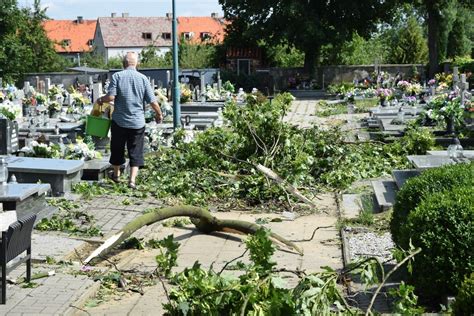 Co z ubezpieczeniem cmentarza i wycinką drzew Ks Jacek Zieliński