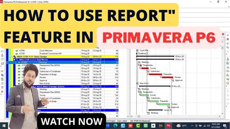 How To Prepare Reports On Primavera P6 Project Reporting