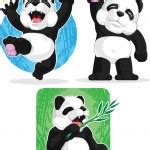 stock photo  china animal wildlife panda eating bamboo shoots