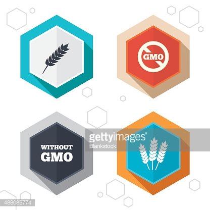 Agricultural Icons Gmo Free Symbols Stock Vector Royalty Free