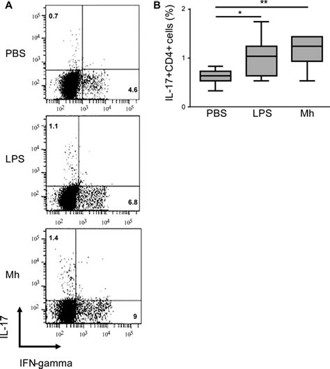 Human Dendritic Cells Dcs Primed By Mycoplasma Hominis Pg21 Mh