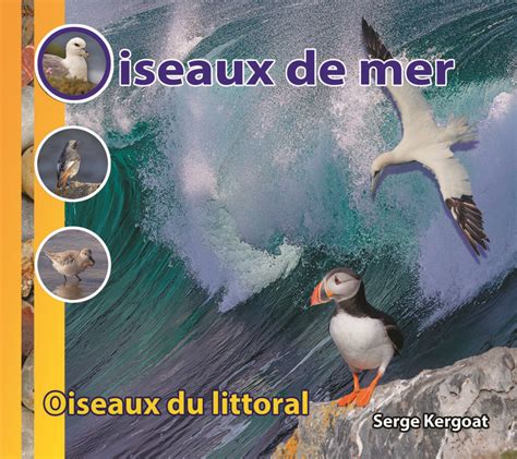 Oiseaux De Mer Oiseaux Du Littoral Toile De Mer