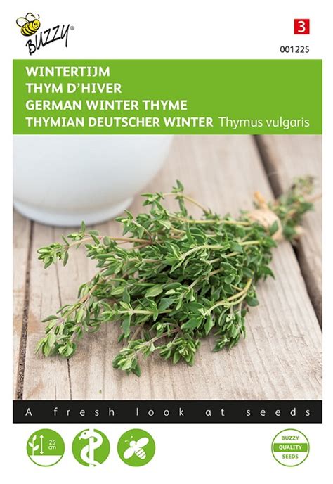 Thym D Hiver Graines Aromatiques Livraison Rapide