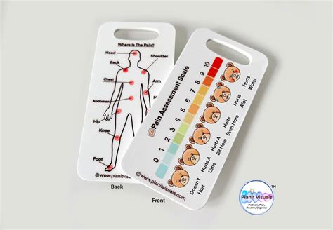 Bear Pain Scale Pain Assessment Tool Child Pain Chart Etsy Australia